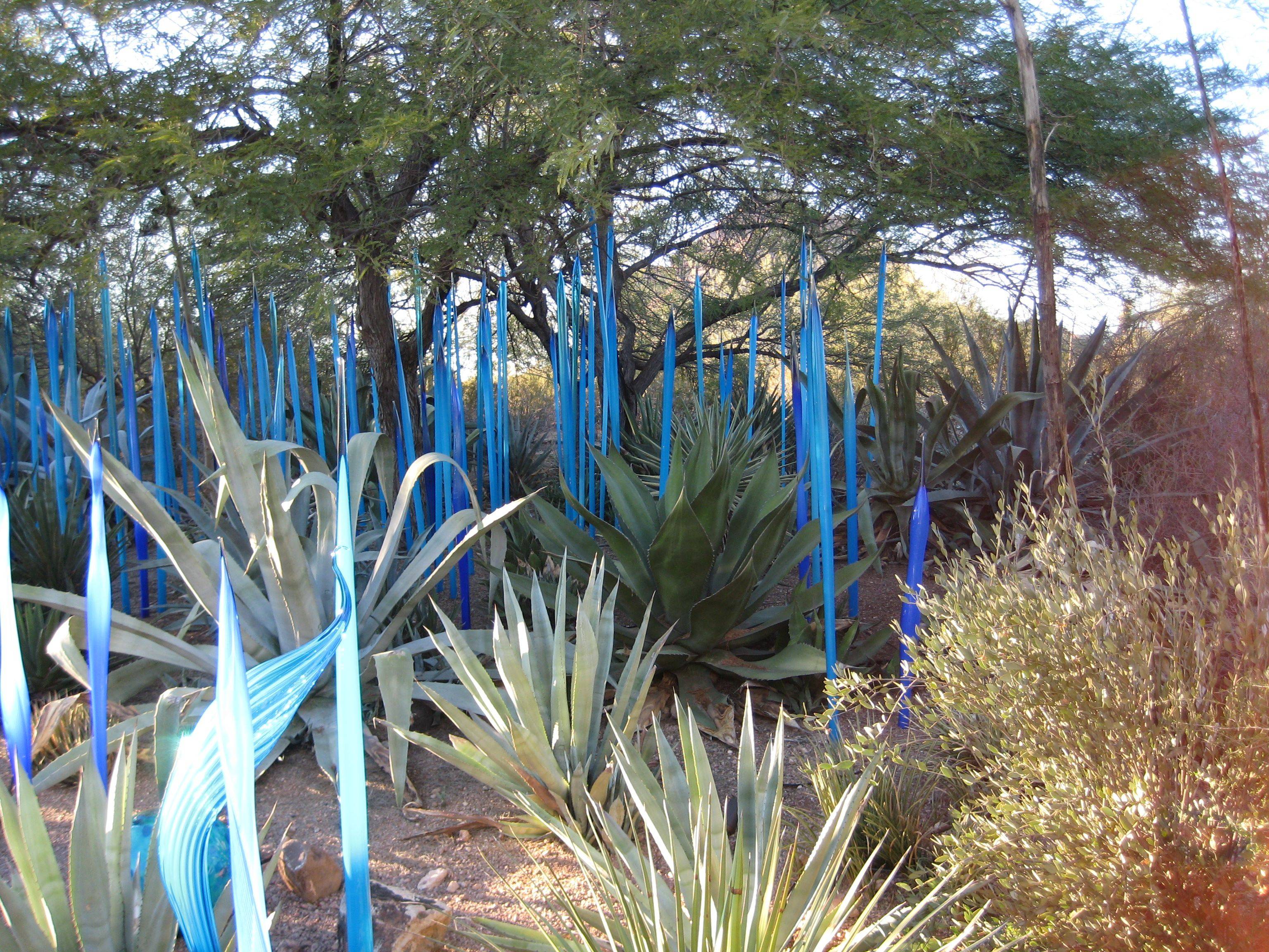 Tucson Botanical Gardens