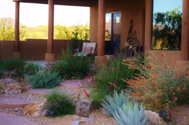 Tucson Botanical Gardens Coupon