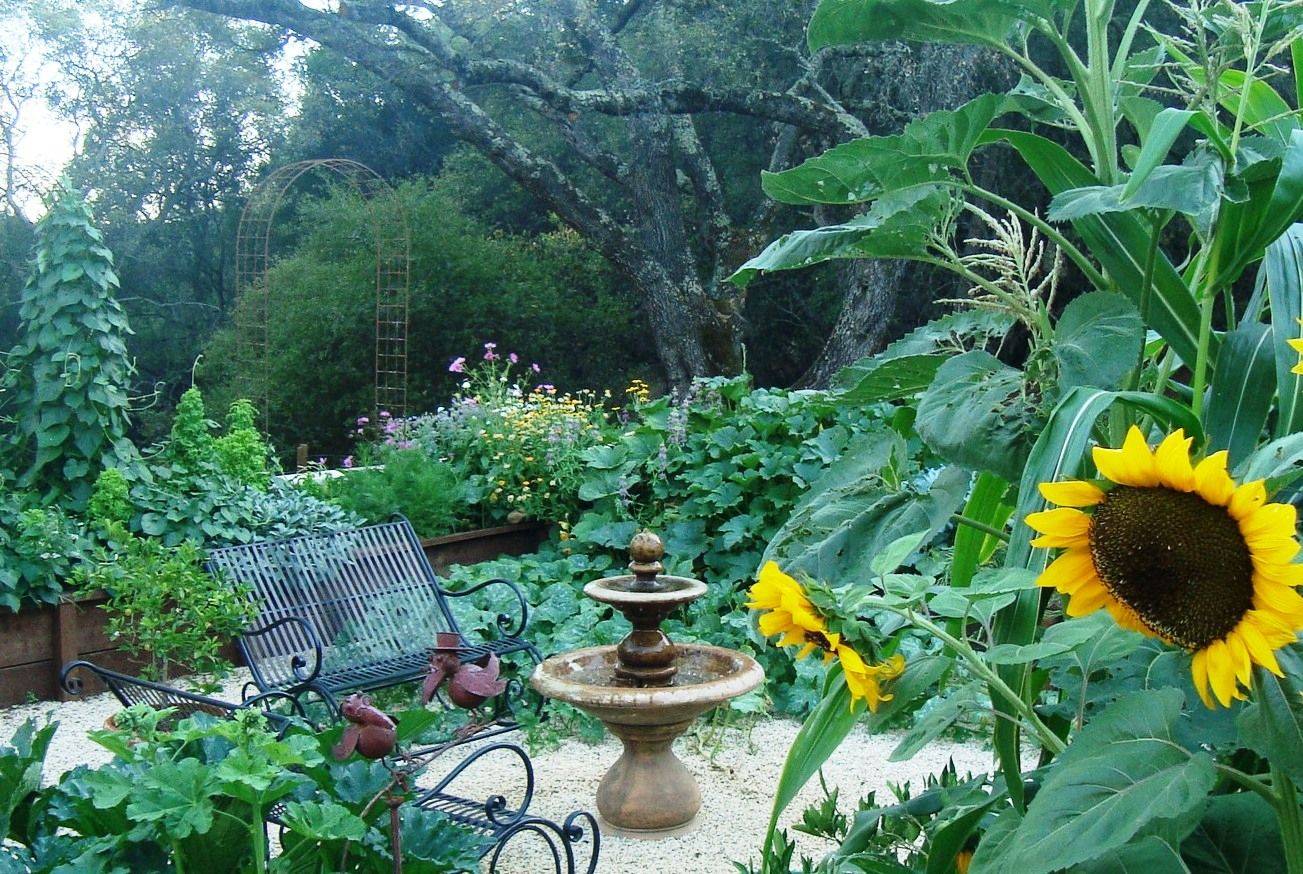 Gorgeous Patio Fountain Ideas Hgtvs Decorating Design Blog Hgtv