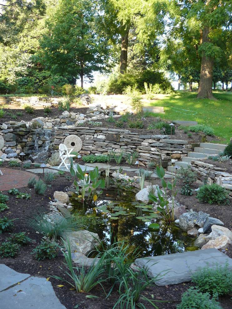 Backyard Water Feature