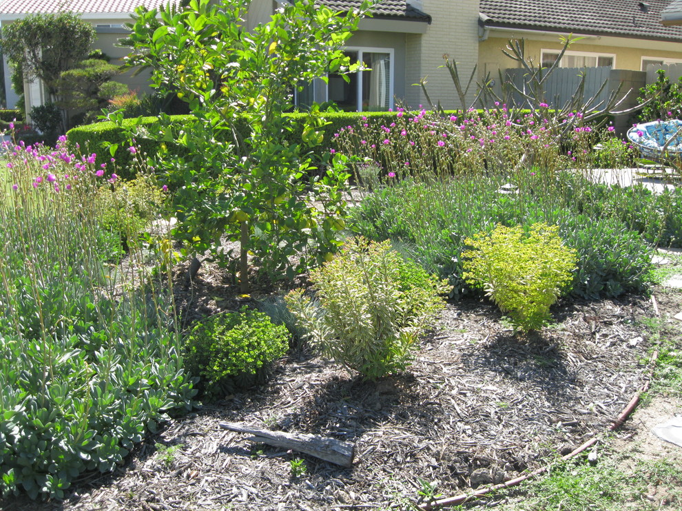 Yard Eclectic Exterior Orange County