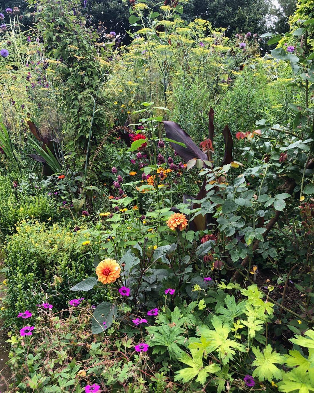 Long Meadow Jewel Garden English Cottage Garden