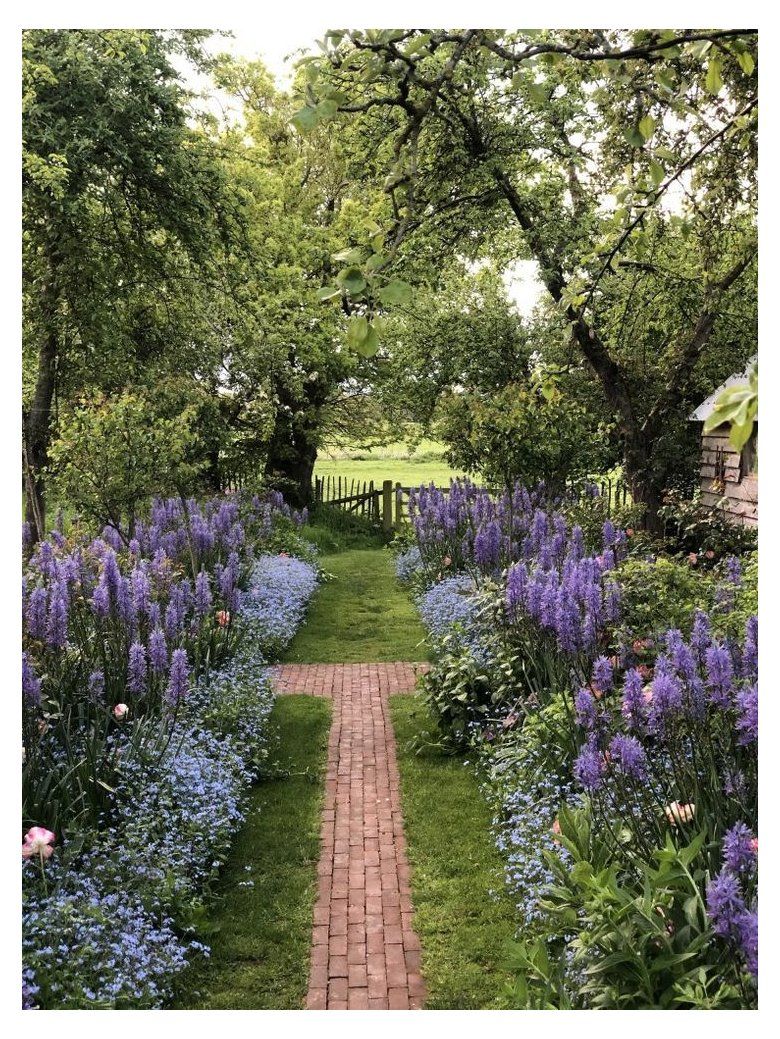 Monty Dons French Gardens