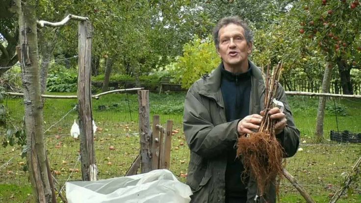 Major Wardrobe Issues