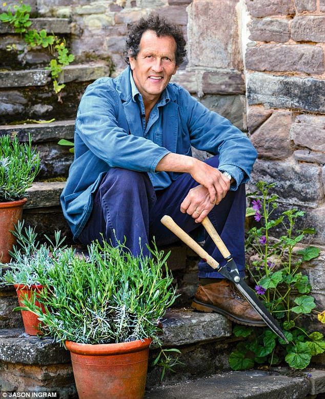 Va Petra Lrinczcsonka