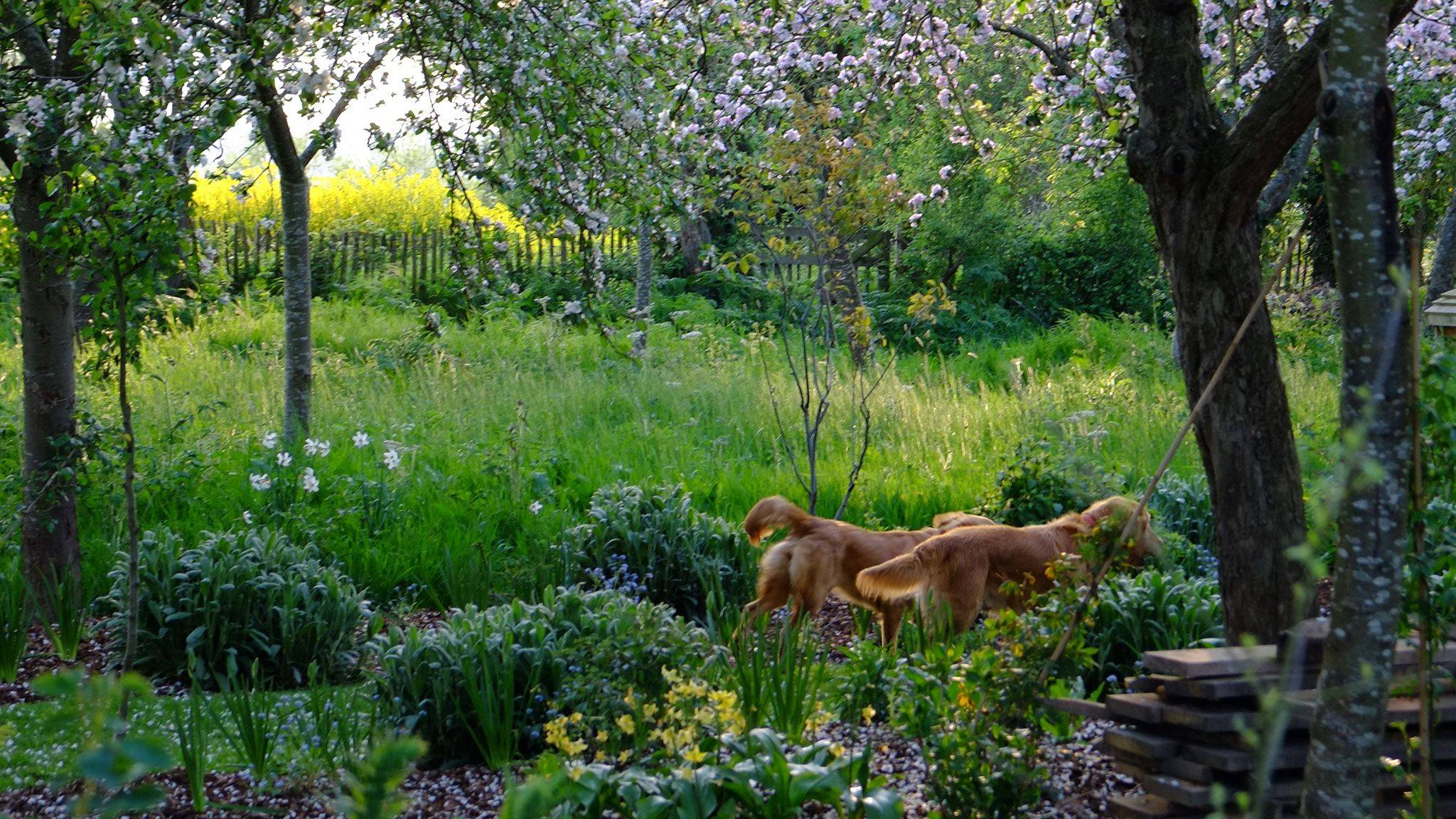 Monty Dons American Gardens Episode