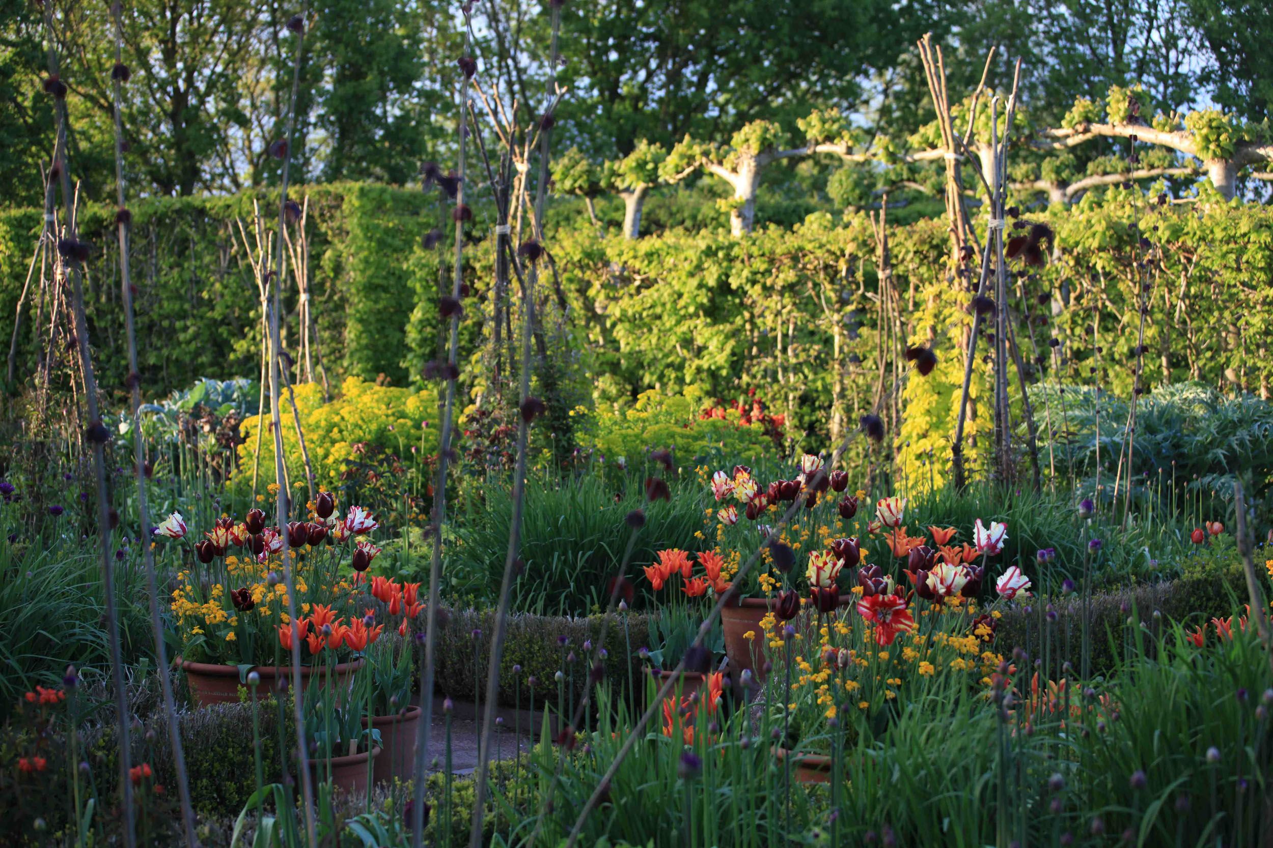 Monty Dons Longmeadow Garden Google Search Longmeadow Garden