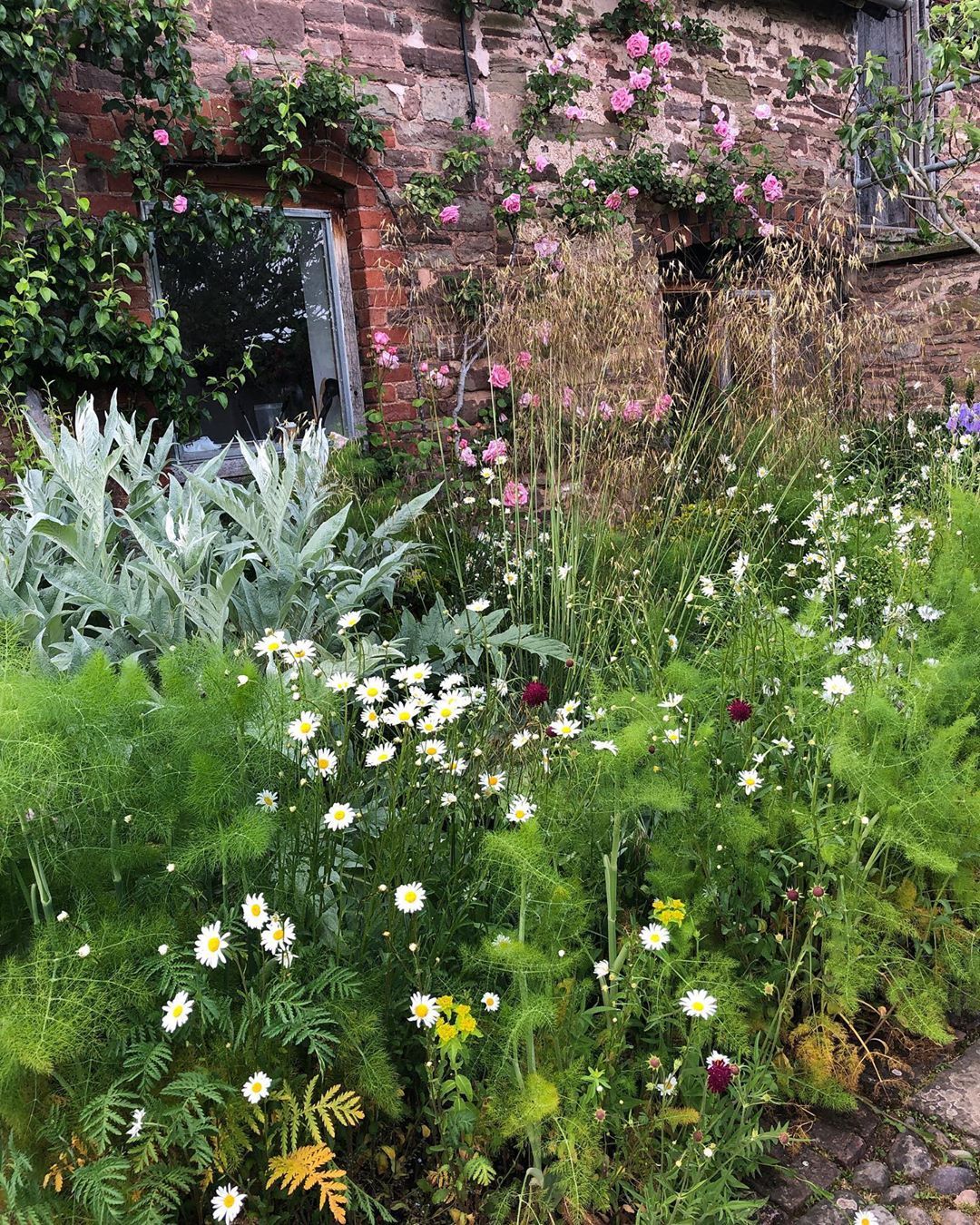 Patio Pond Wildlife Garden Monty Don