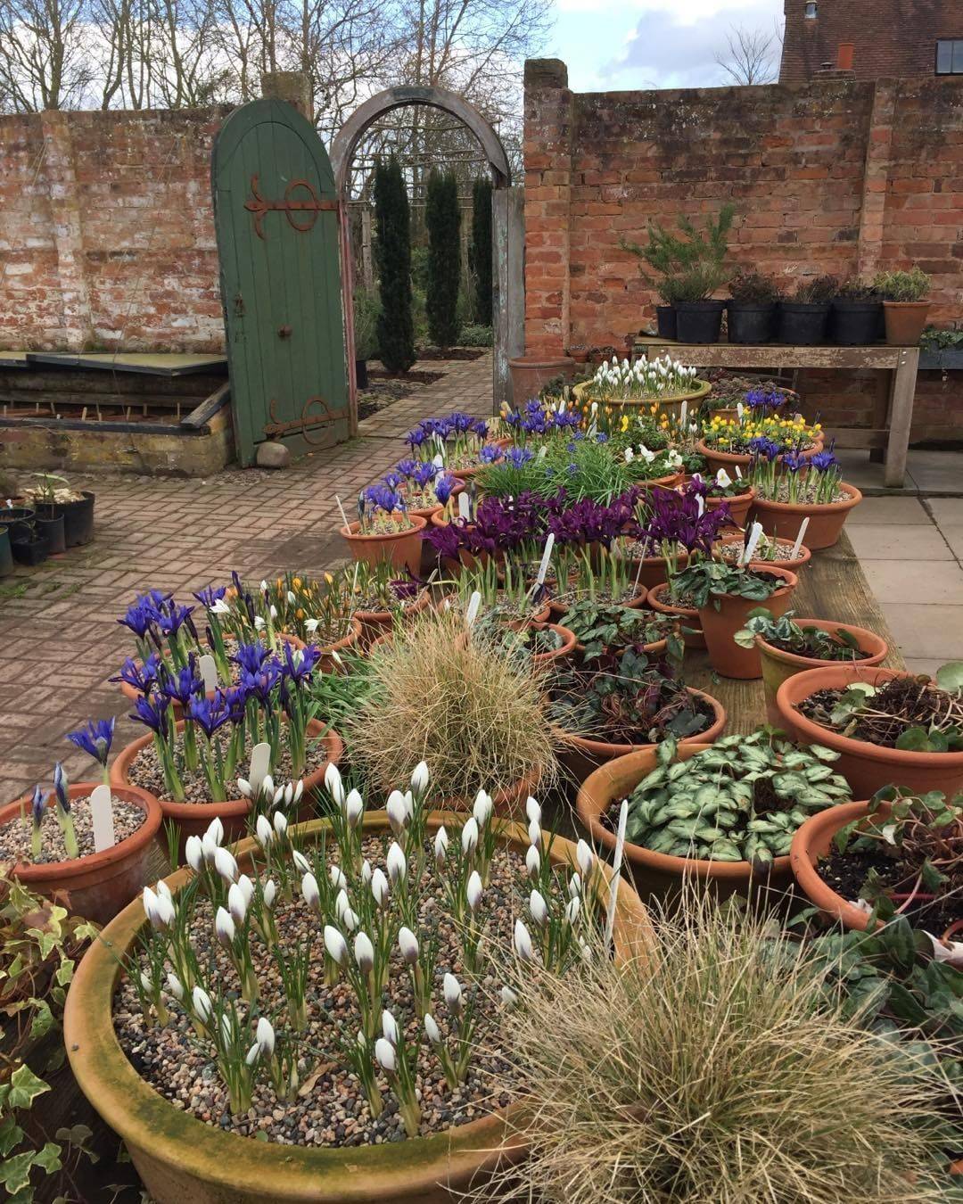 Rock Garden Landscaping