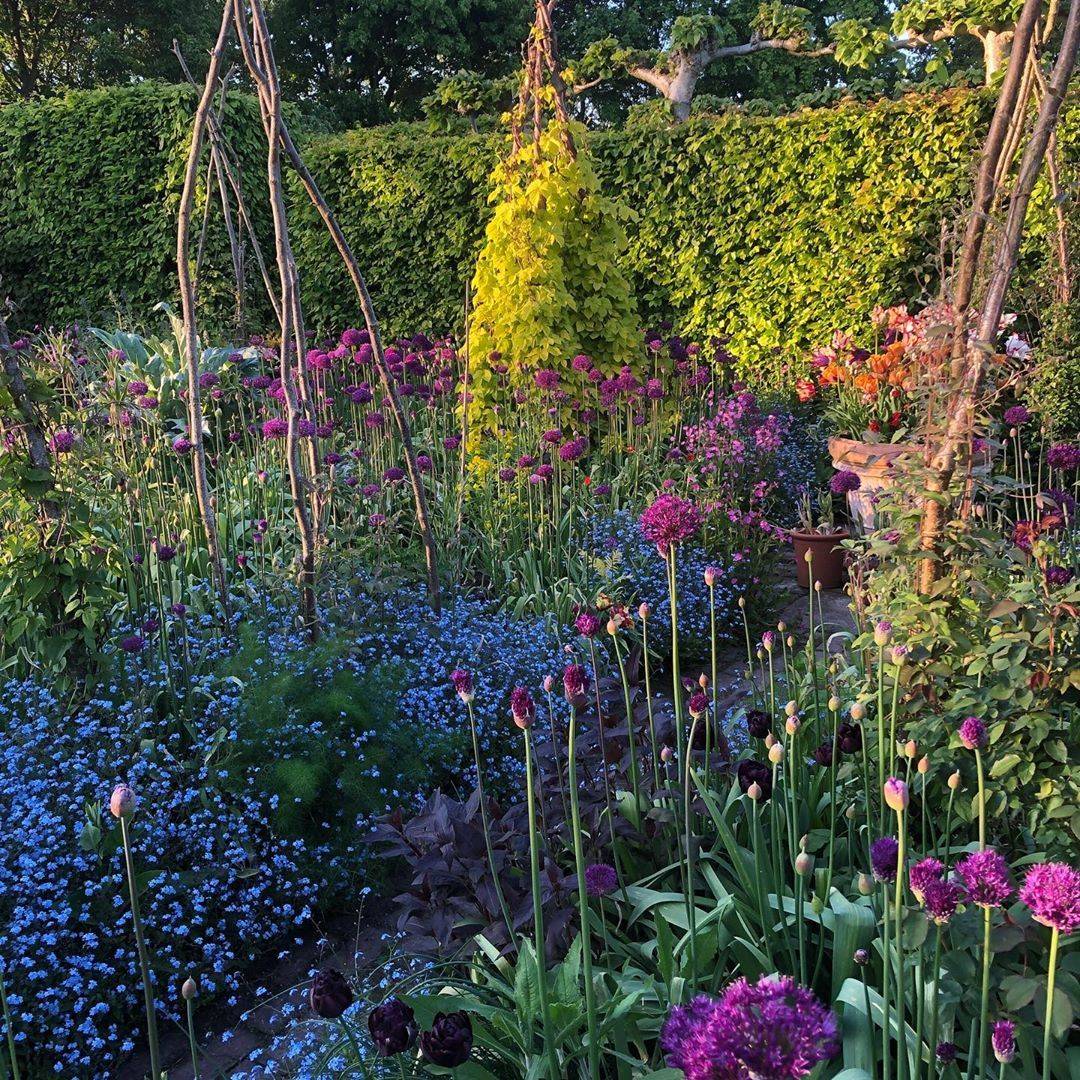 Cold But Clear Longmeadow Garden
