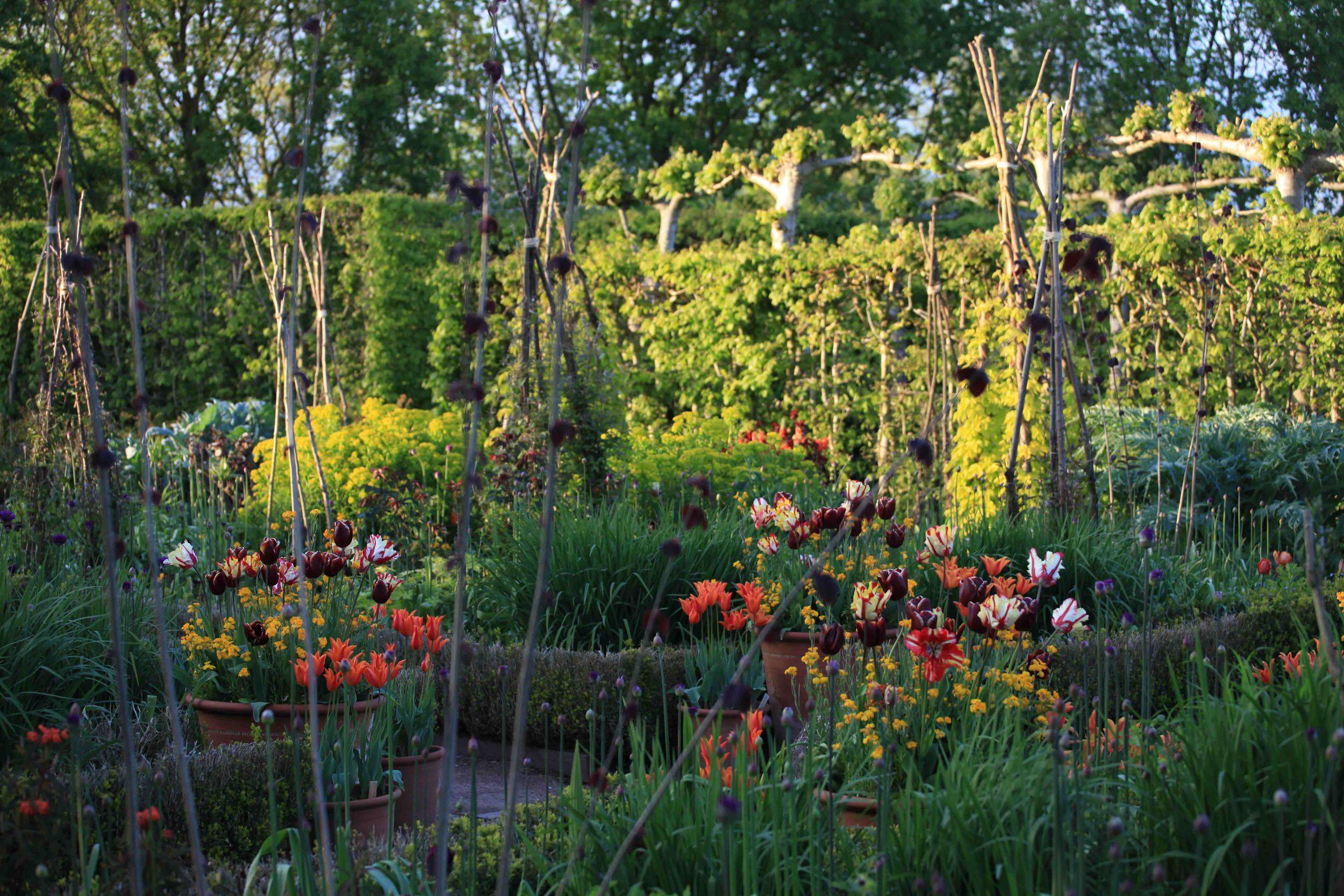 Longmeadow Garden