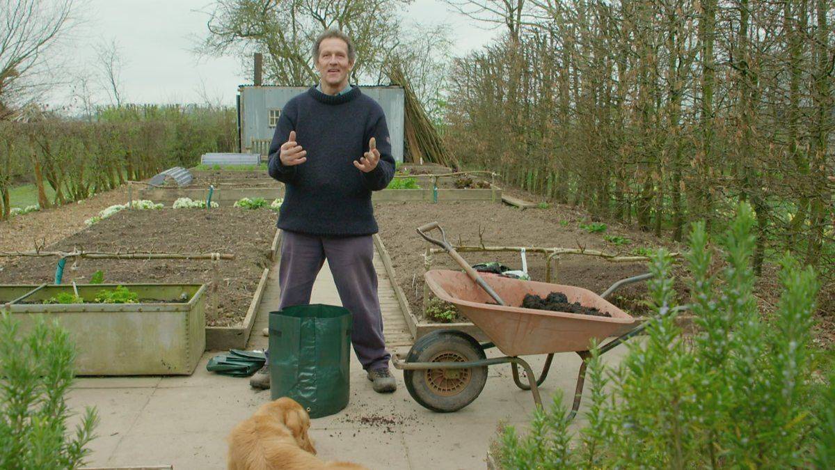 23 Monty Don Vegetable Garden Ideas You Must Look SharonSable