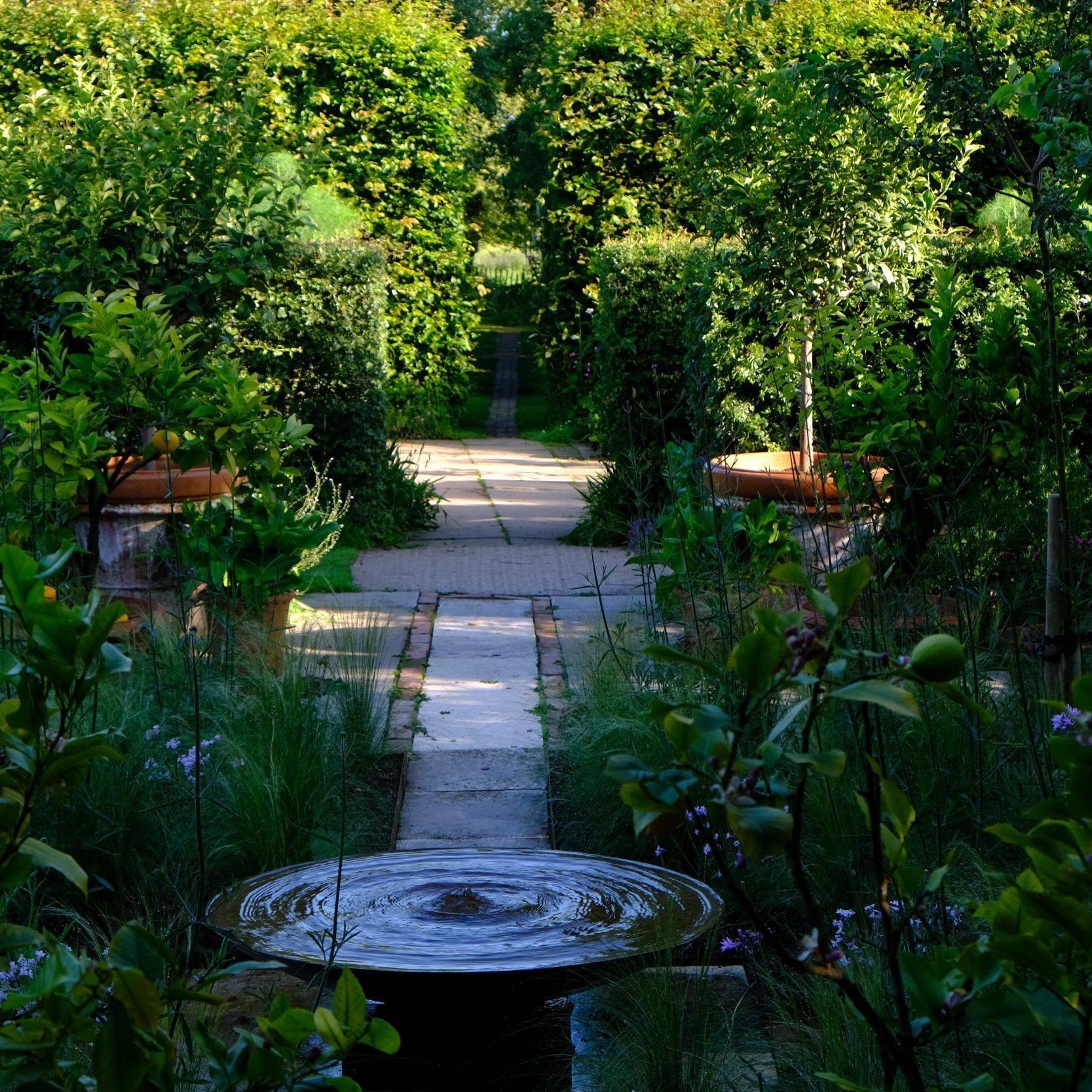 Cottage Garden Favourites