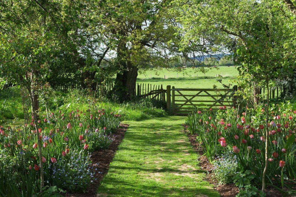 Monty Dons Garden