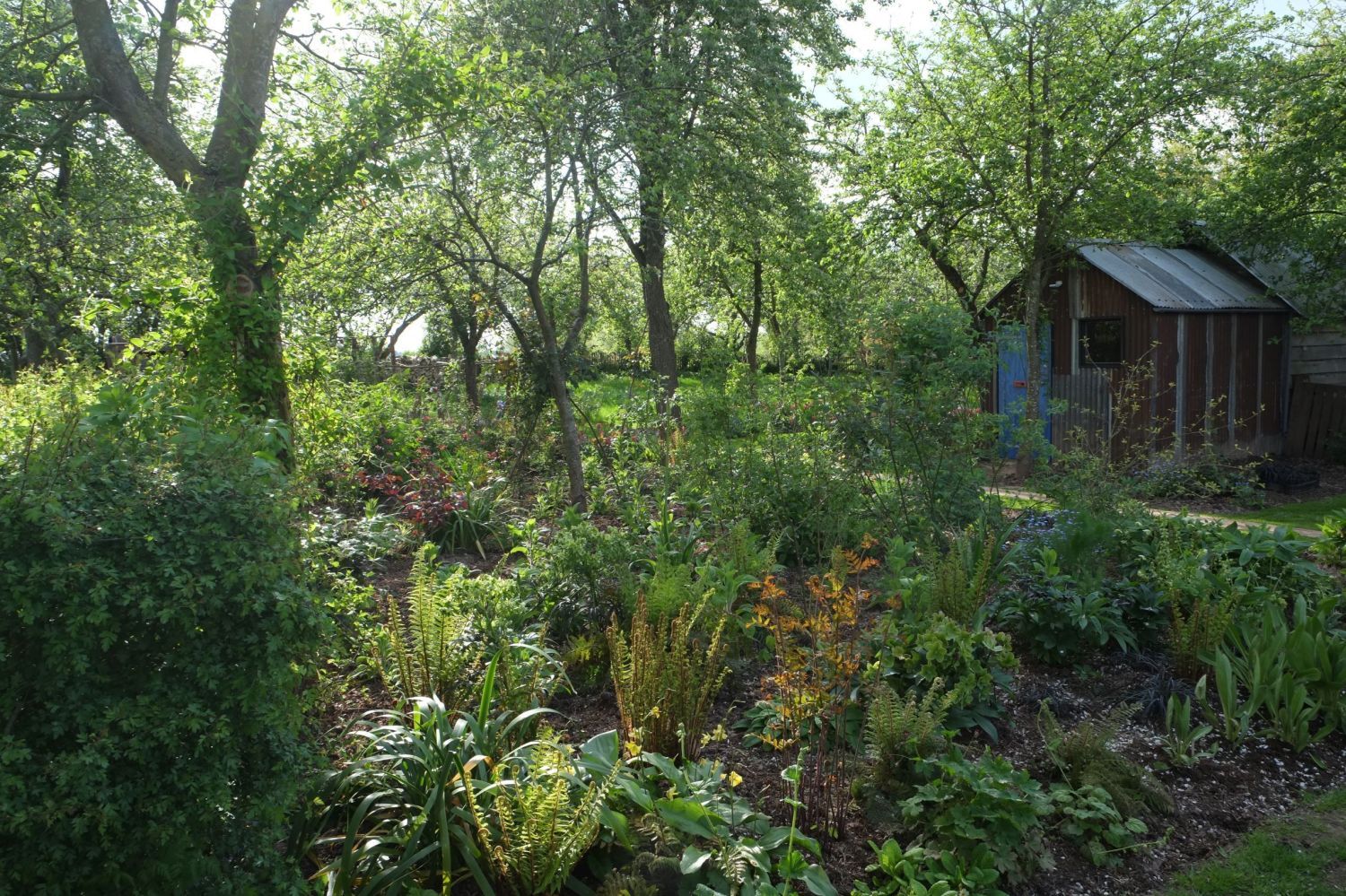 Cottage Garden Border