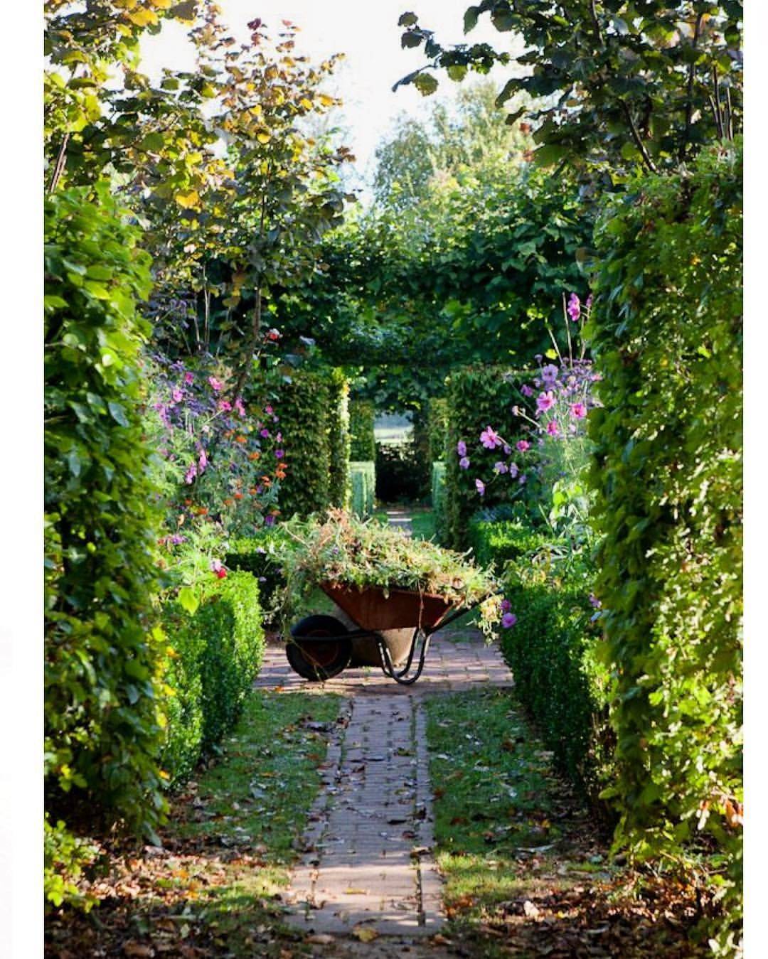 A Lovely Pond Centerpiece