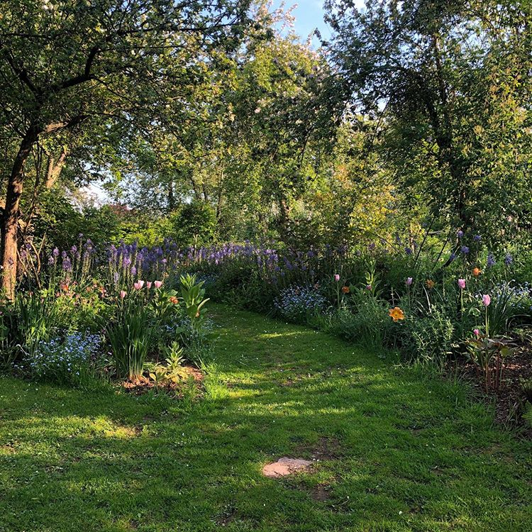 Monty Don Small Garden Design