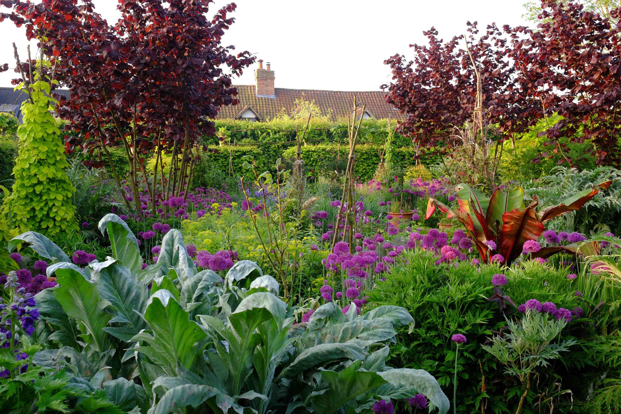 Landscape Focused Green Inspiration