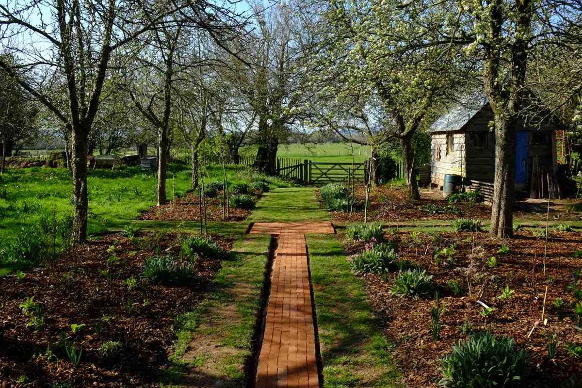 Landscape Focused Green Inspiration