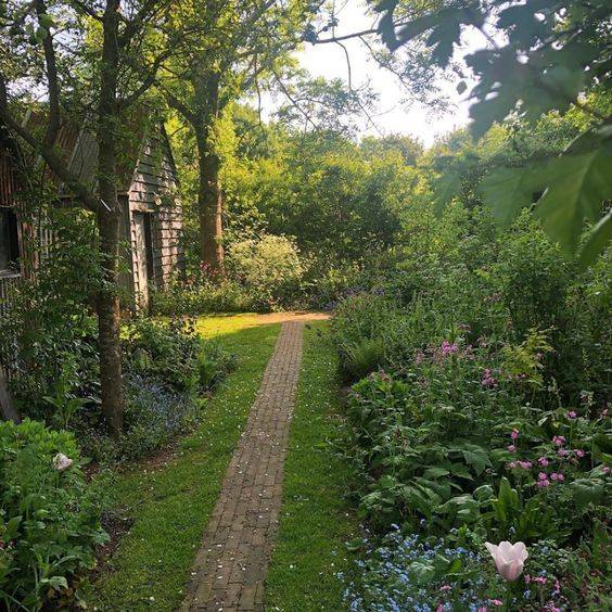 Landscape Focused Green Inspiration