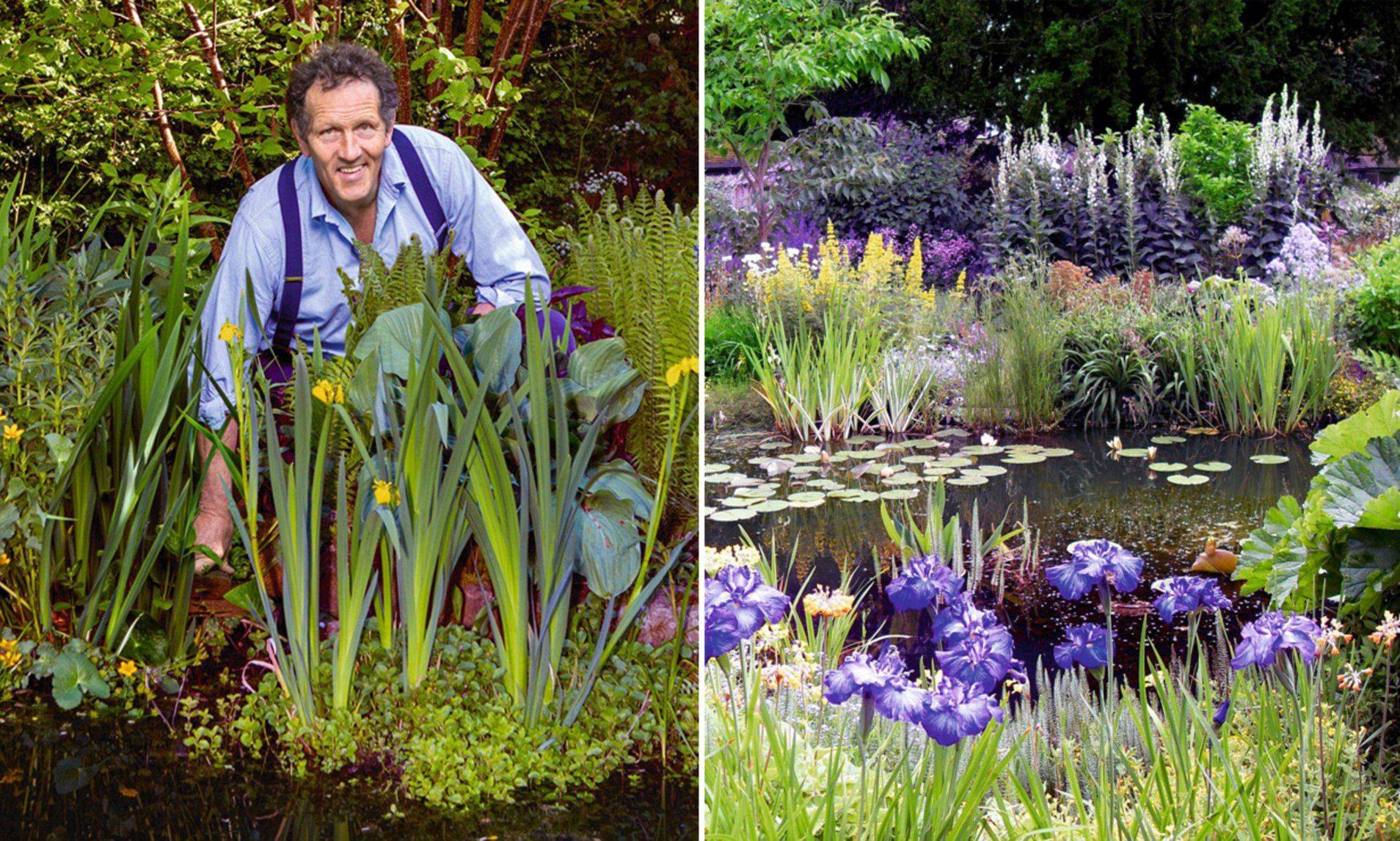 Monty Don Ideas