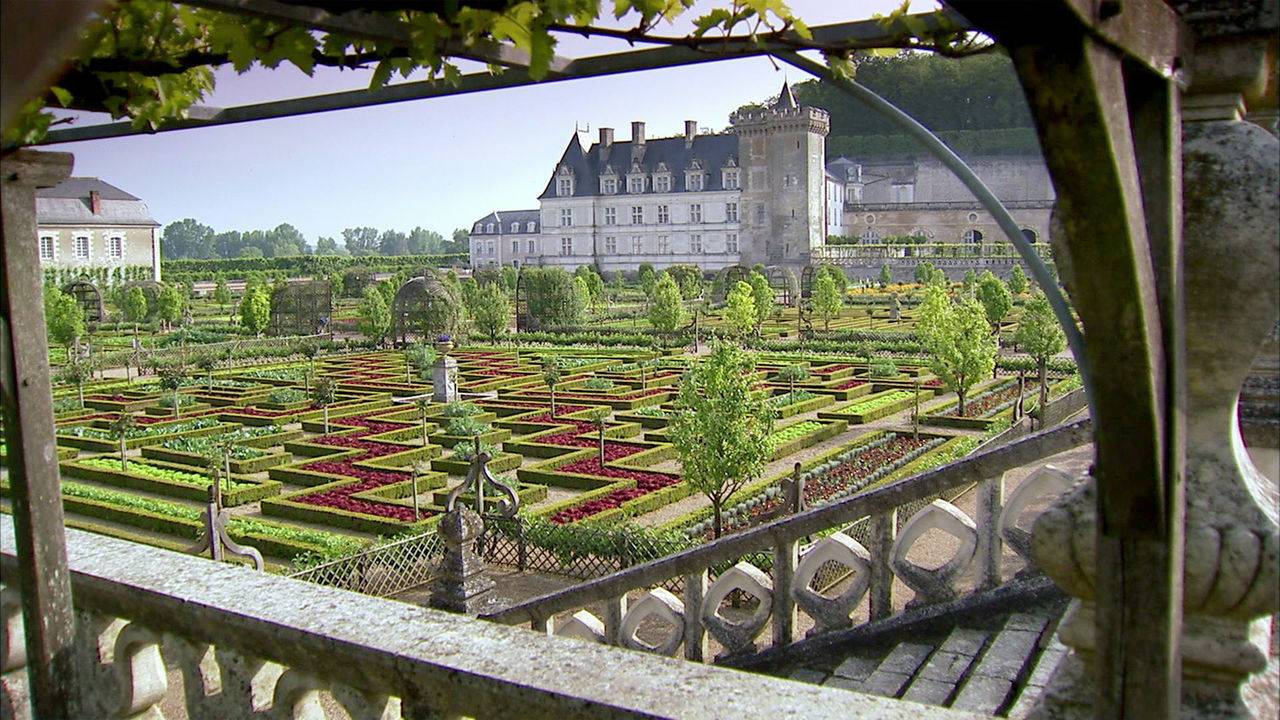 Monty Don Ideas
