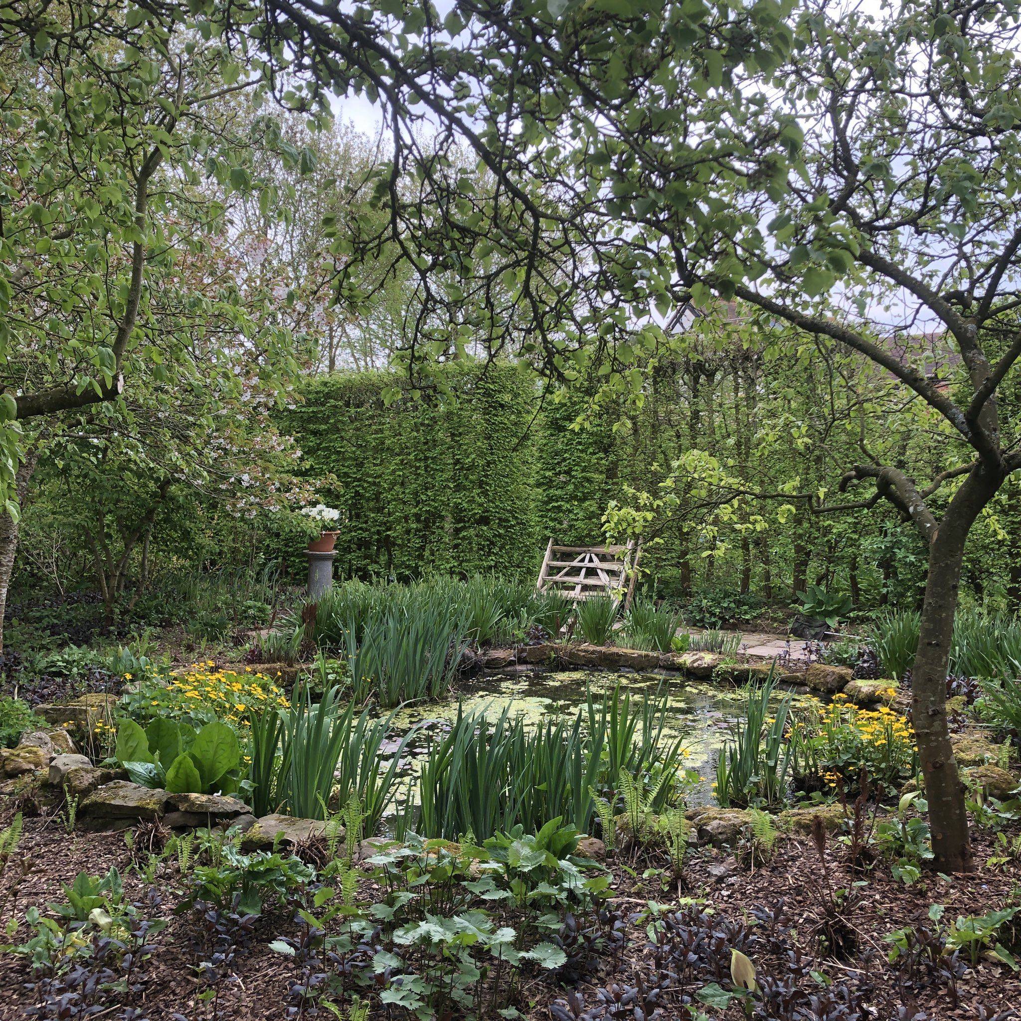 The Best Small Garden Ponds Ideas