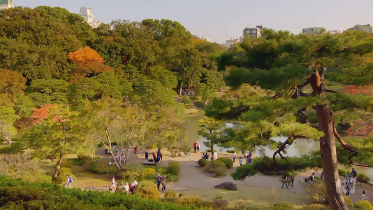 Bbc Monty Dons Japanese Gardens