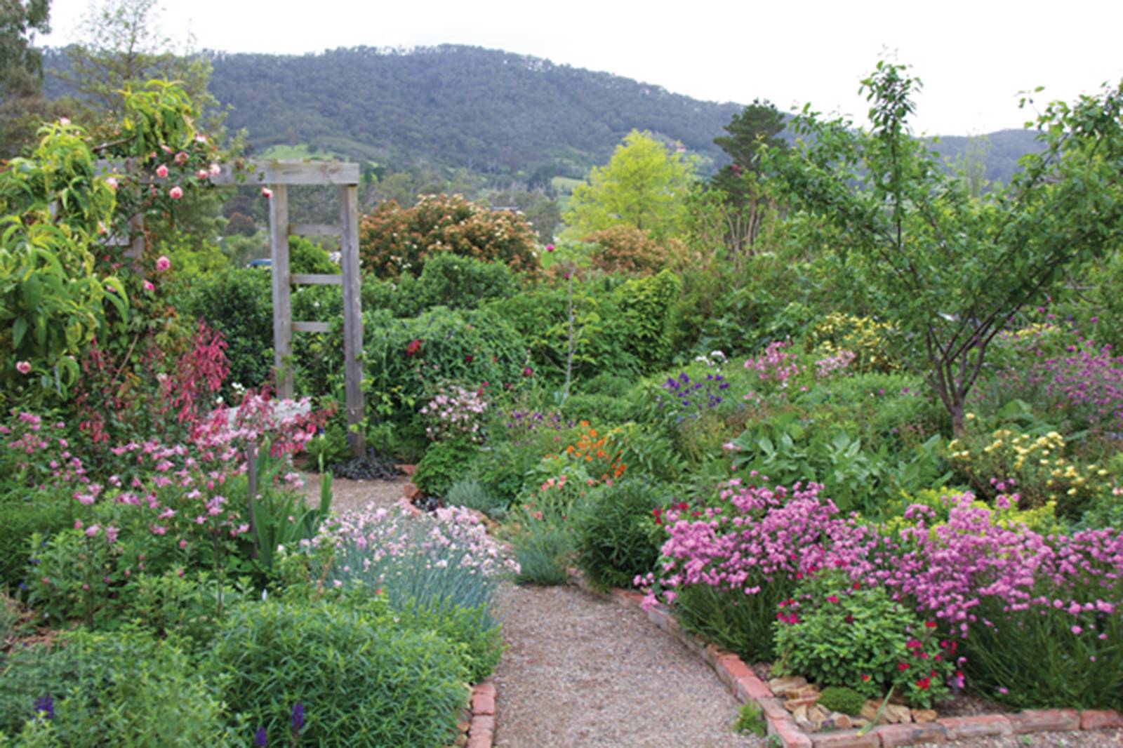 Monty Dons Garden Pictures