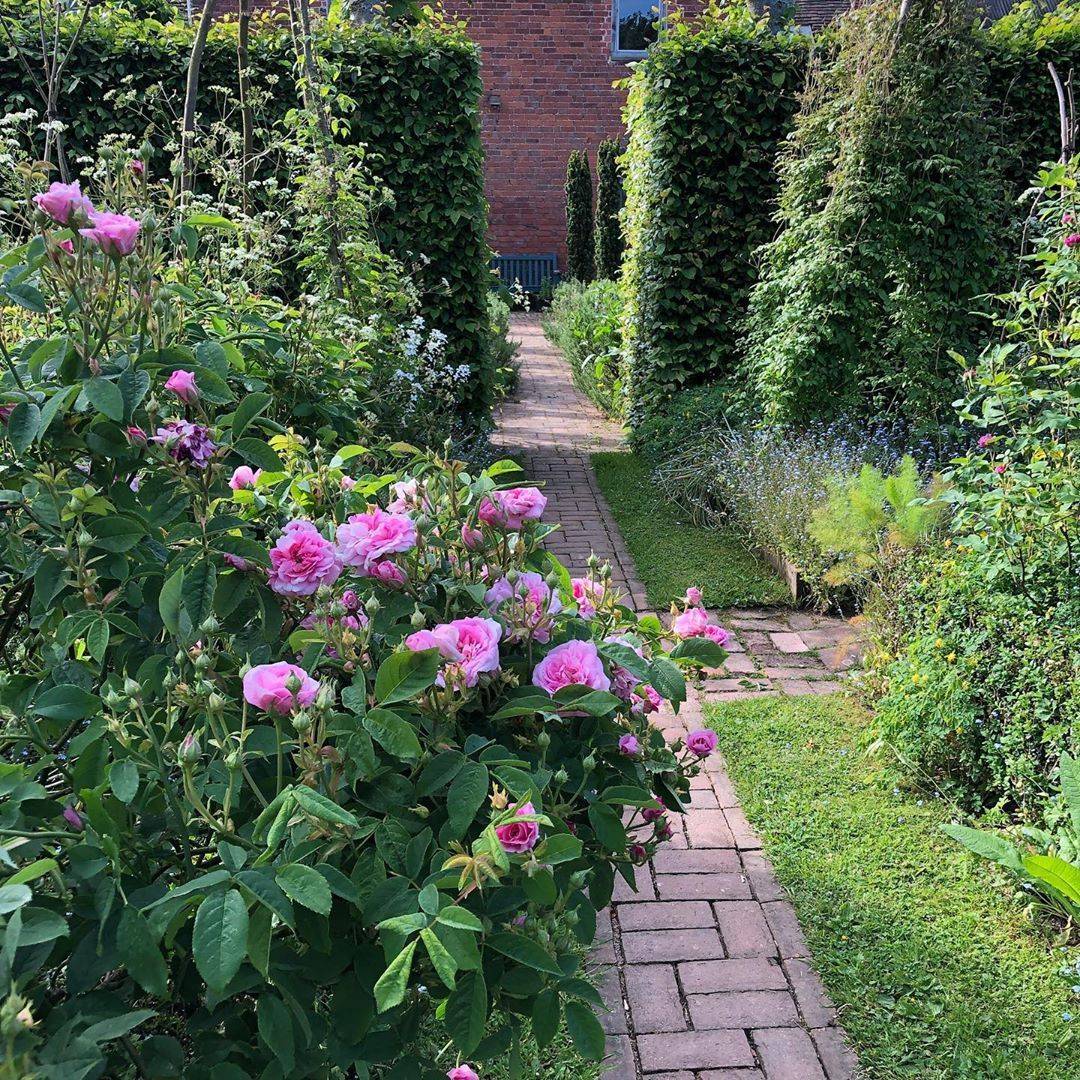 Longmeadow Garden