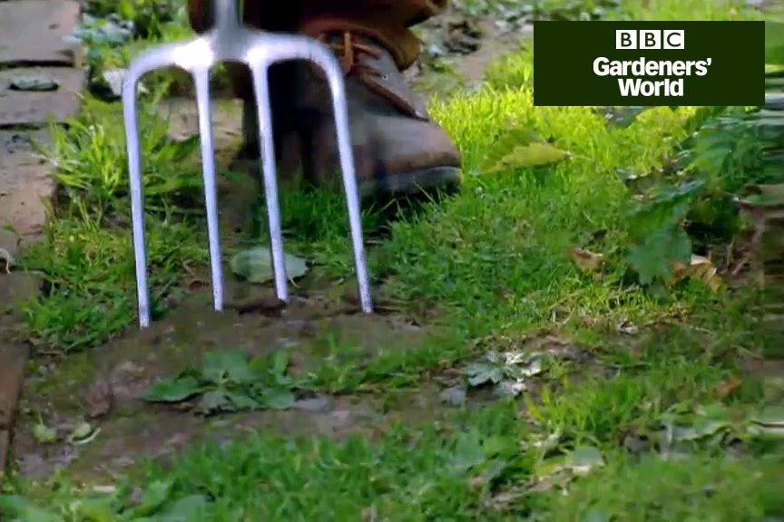Bbc Gardening Blog