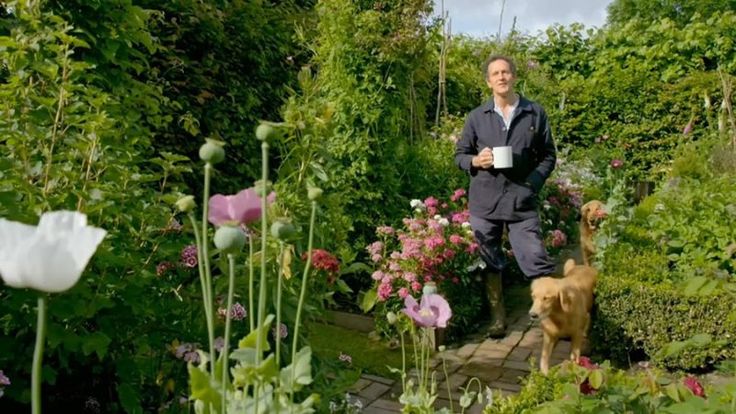 Pin On Gardening
