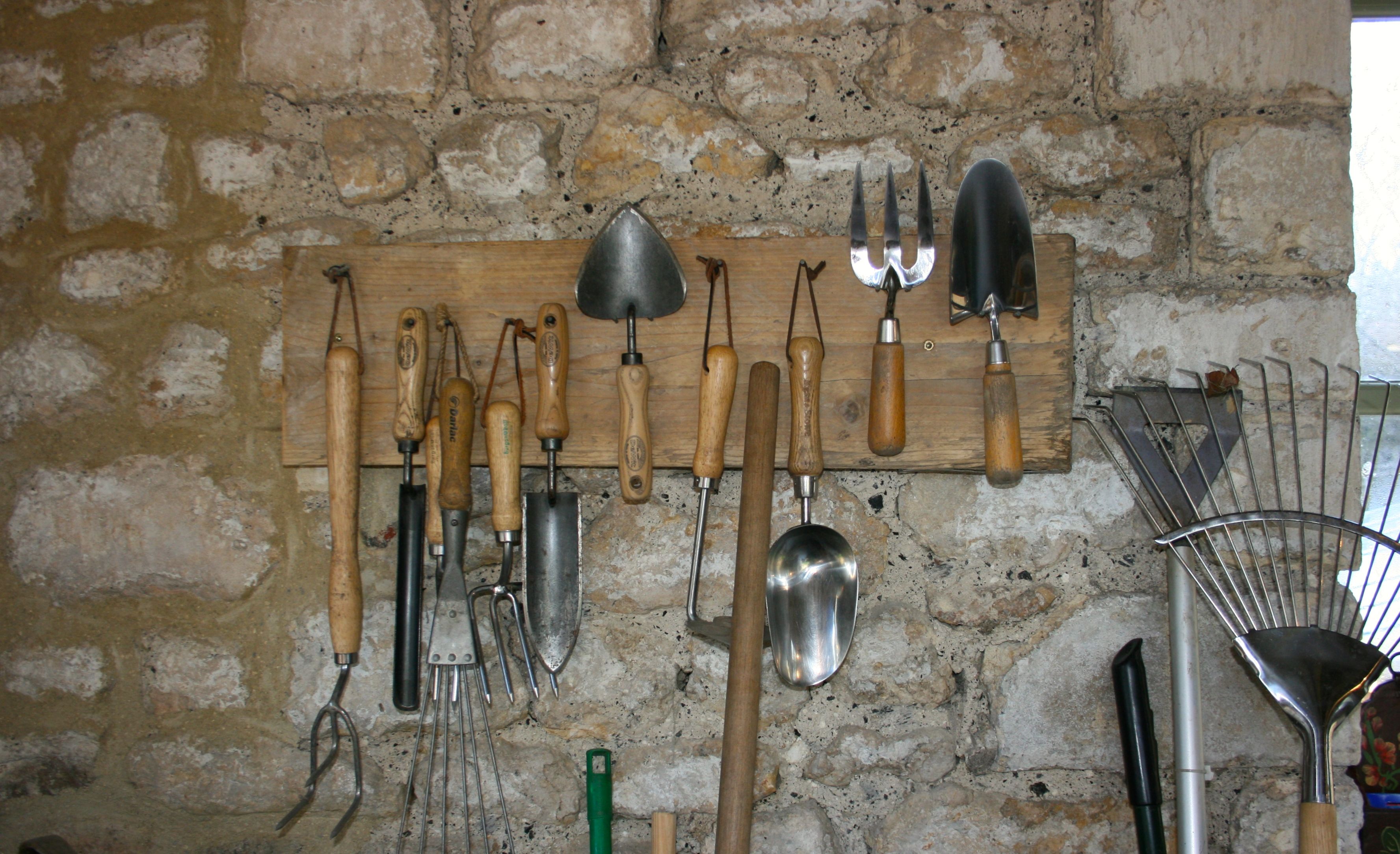 The Middle Sized Garden Gardening Blog