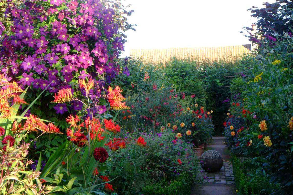 His Garden
