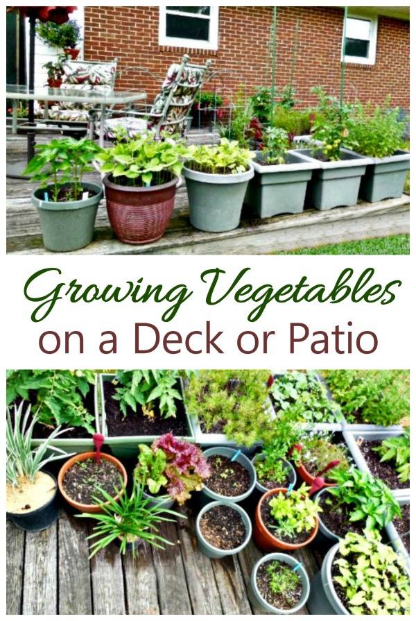 Deck Gardening Ideas