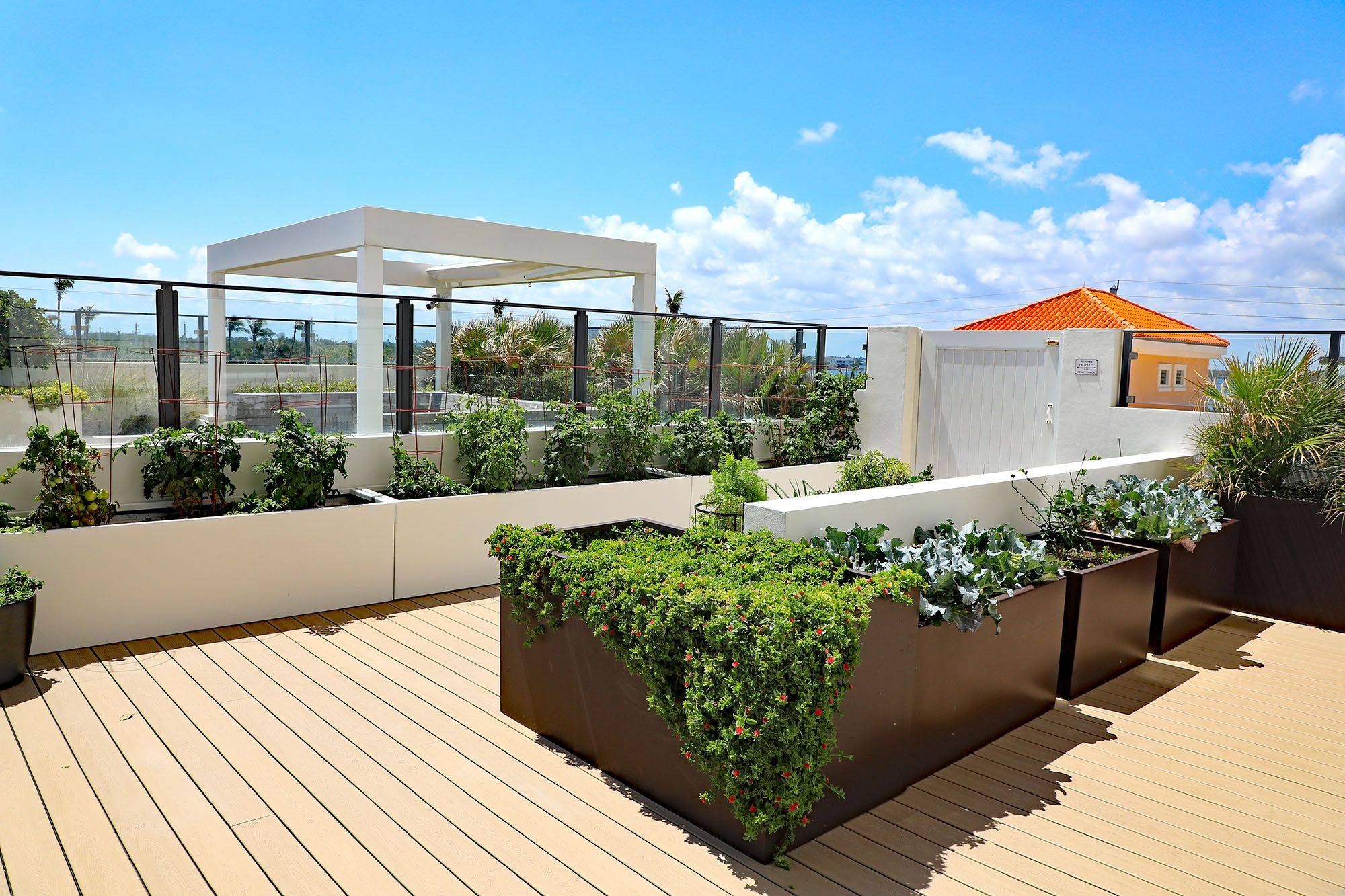 Deck Garden Planted Out For In Ba Gardening