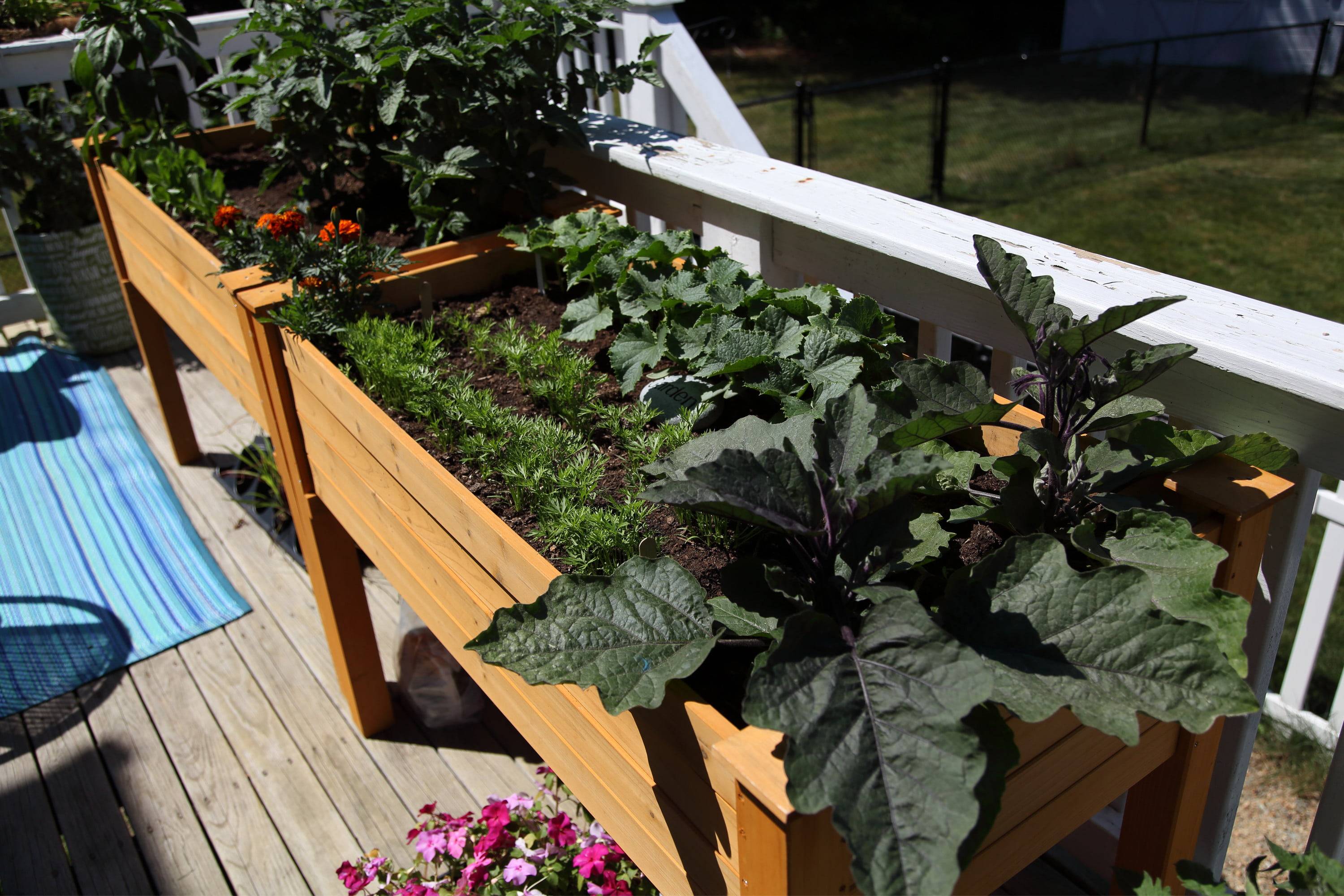 The Deck Garden Today Vegetable Garden Design