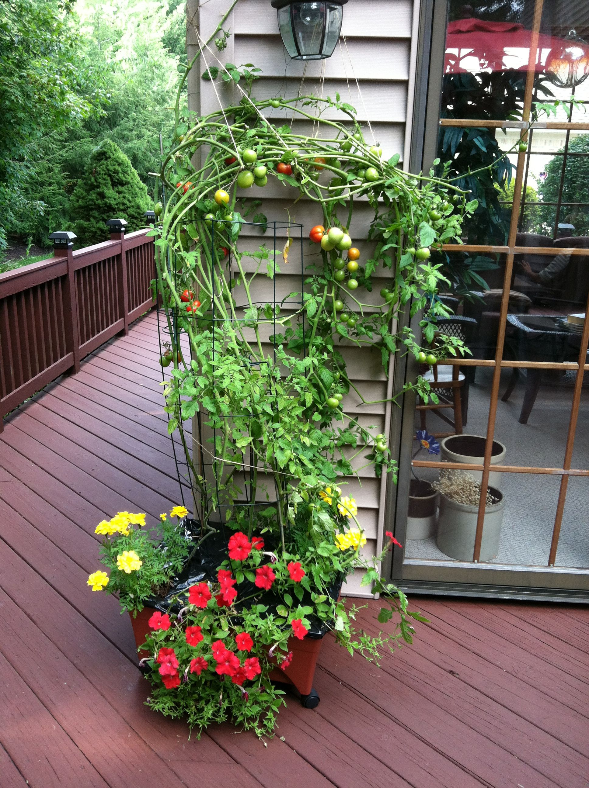 My City Apartment Deck
