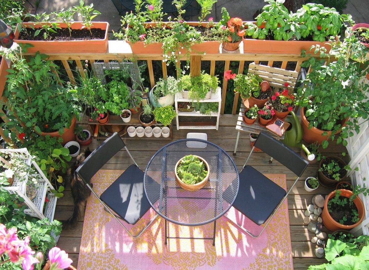 Growing Vegetables