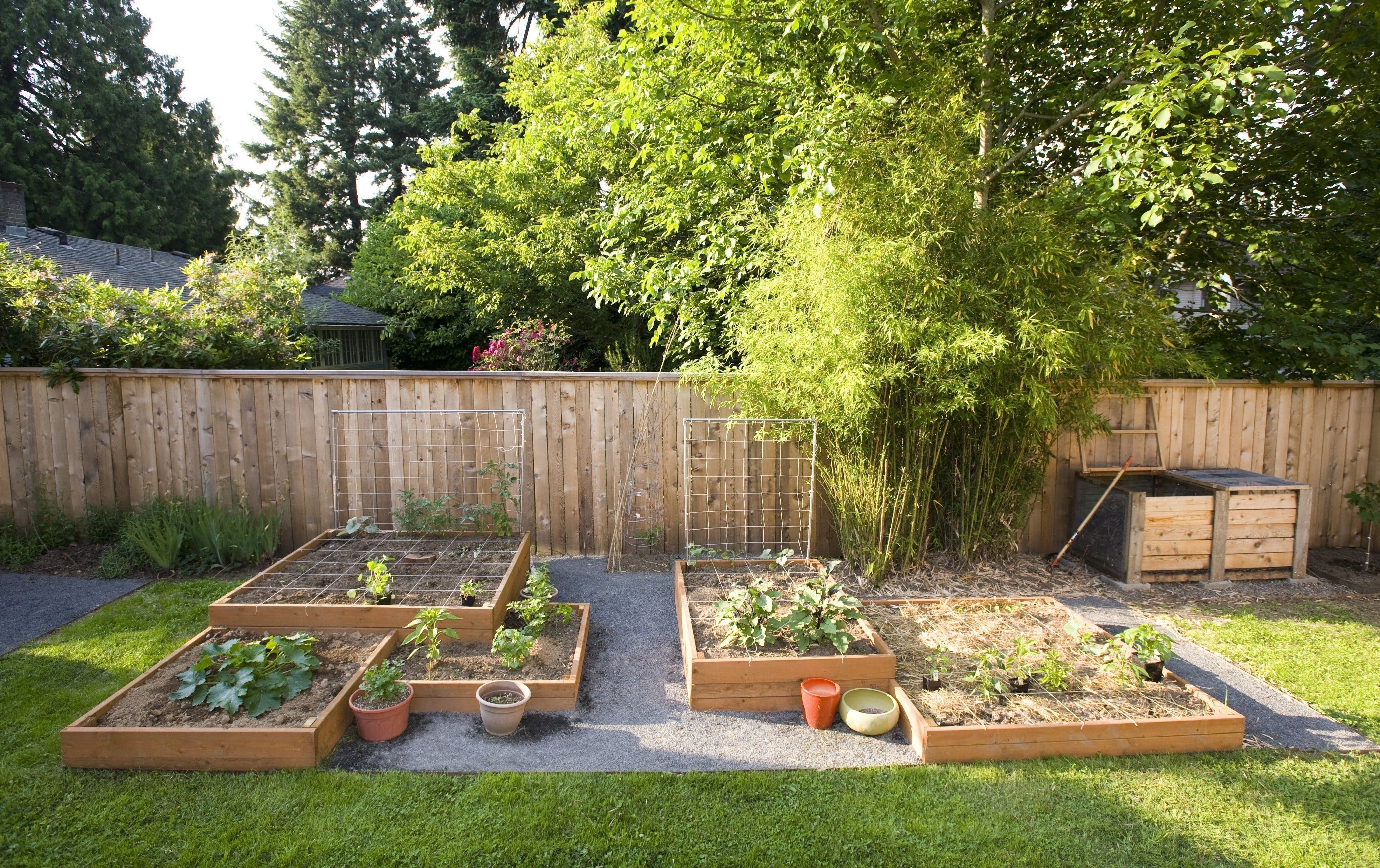 Vegetable Garden Raised Patio Backyard And Wood Bed Along Wire Fence