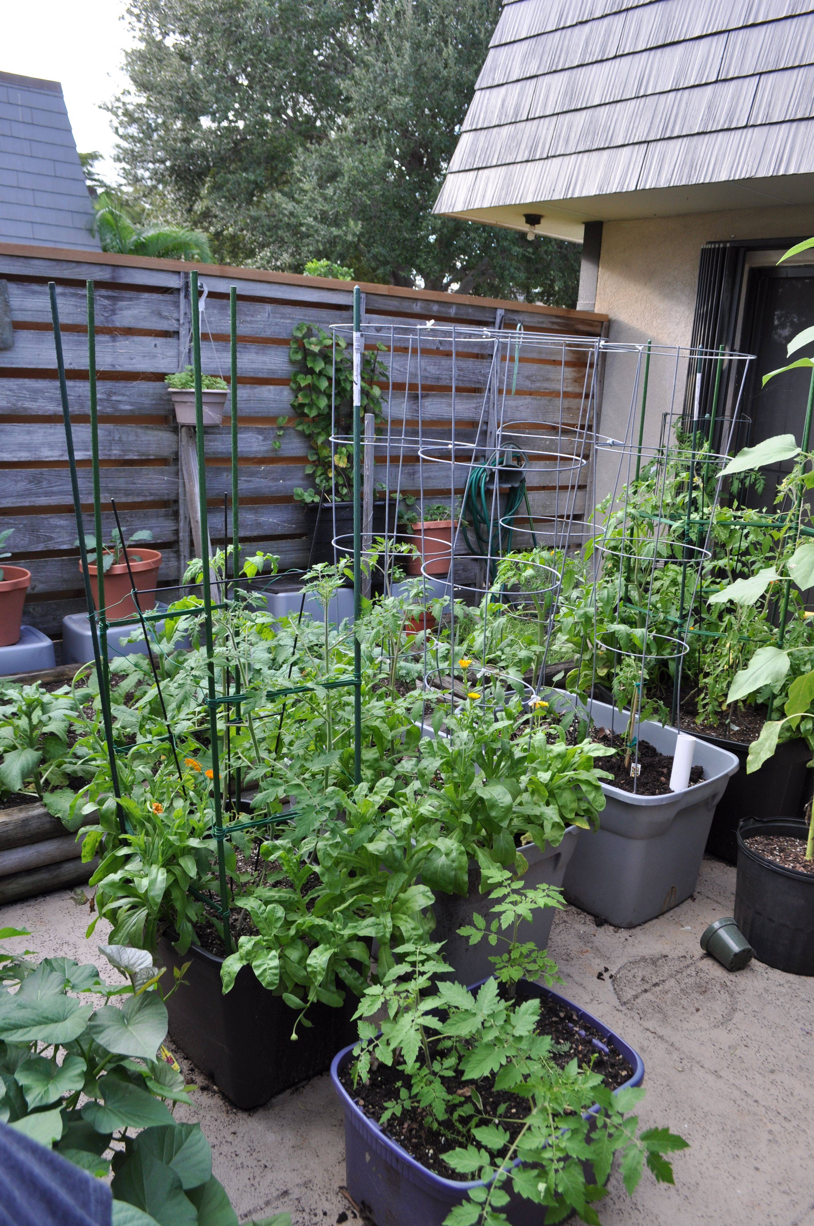 Container Gardening Patio Small Spaces