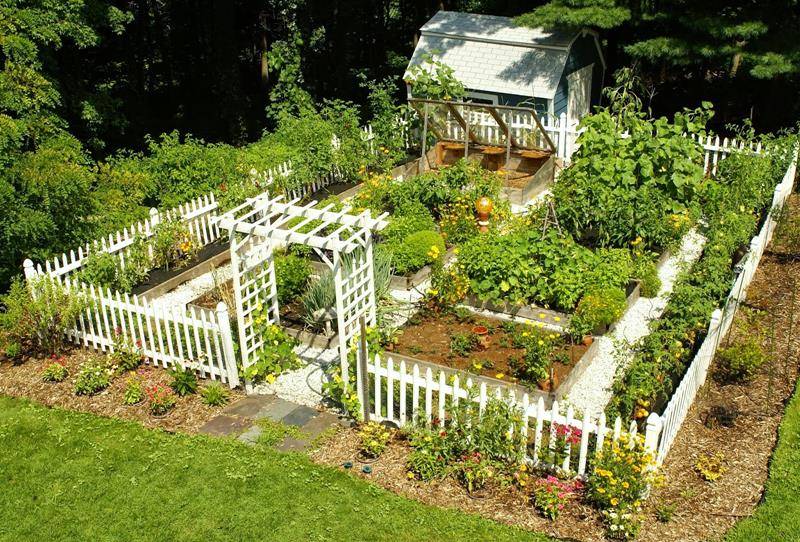 Inspiring Small Vegetable Garden Ideas