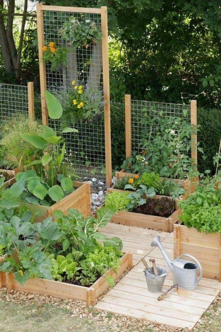 Inspiring Small Vegetable Garden Ideas