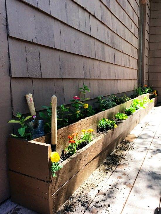 Patio Vegetable Garden Containers