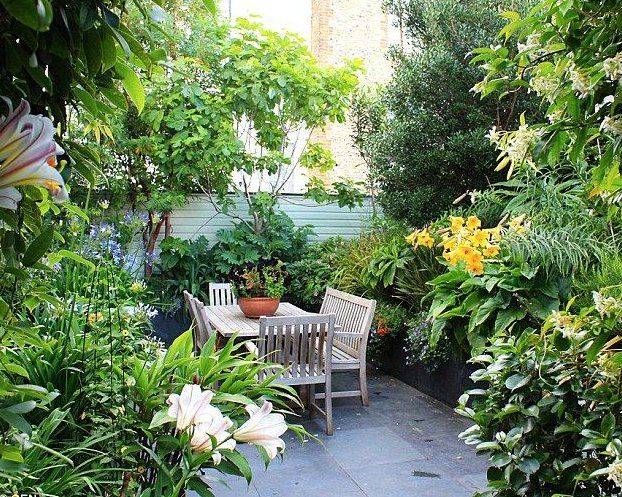 Small Space Gardening