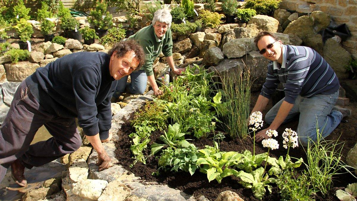 Some White Flowered Perennials