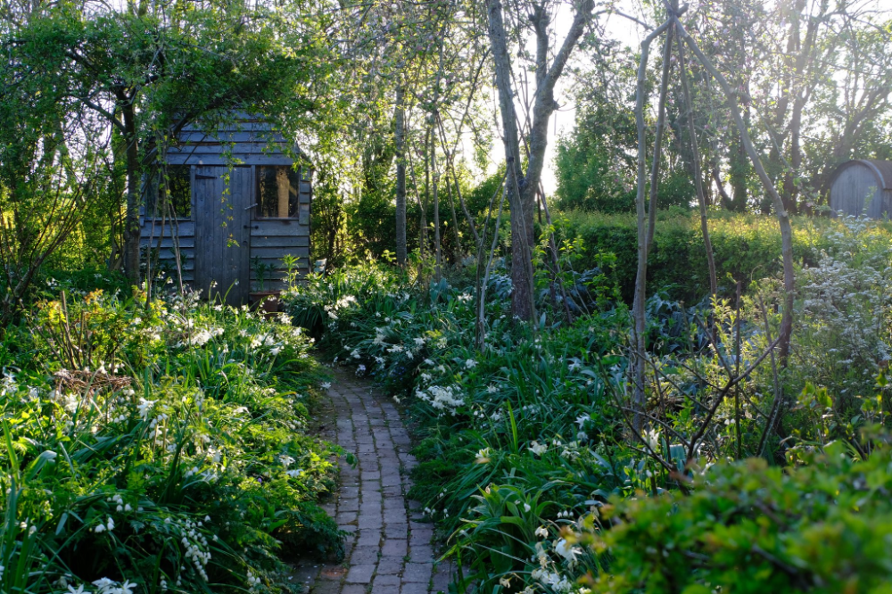 Flower Garden Plans
