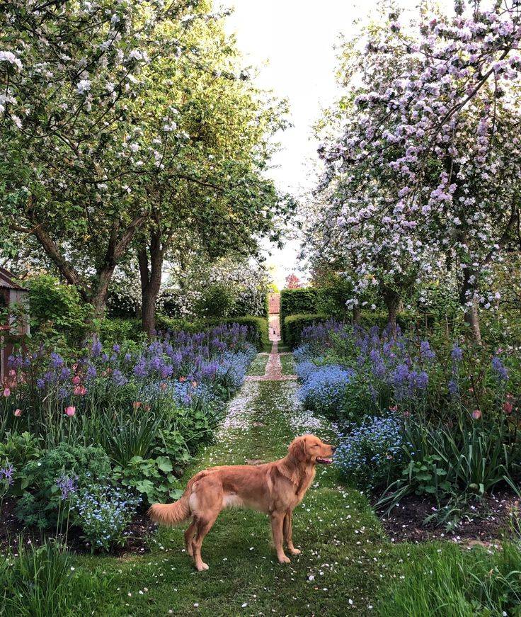 Monty Don Longmeadow