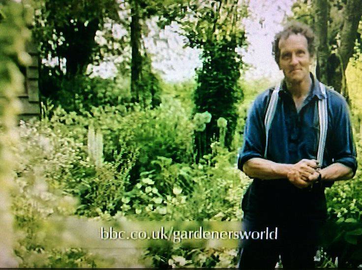Stalking Request Number Gardening Heroes