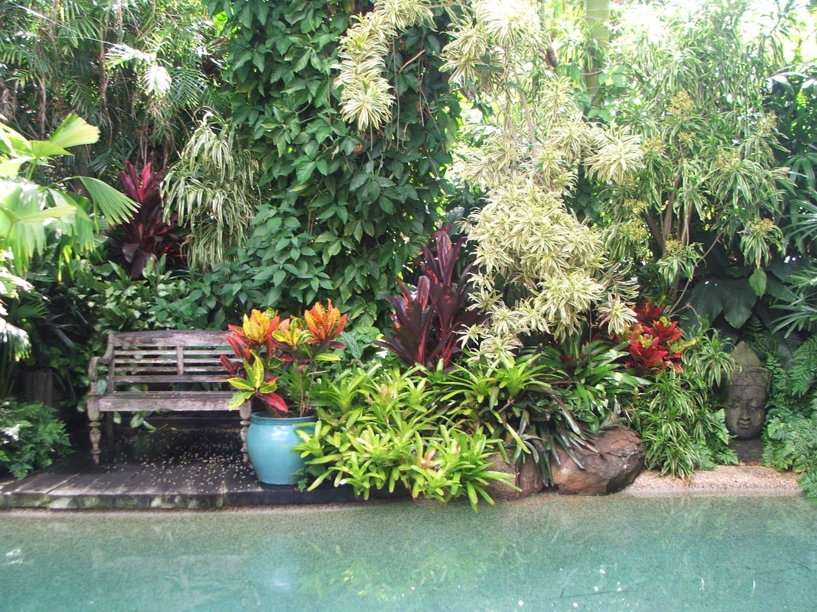 Tropical Courtyard Garden Ideas Paradise